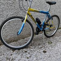 Bici MTB