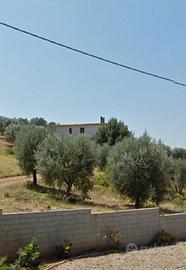 Casa singola più terreno