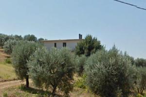 Casa singola più terreno