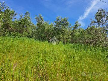 TER. AGRICOLO A FOLLONICA