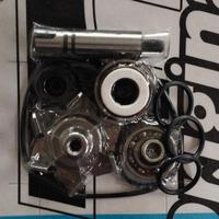 KIT REVISIONE POMPA ACQUA TMAX T MAX 500