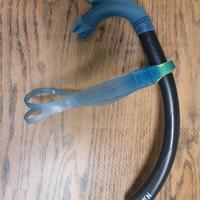 boccaglio snorkeling