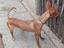 Immagine 2