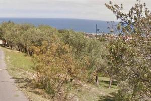 Terreno agricolo - Uliveto