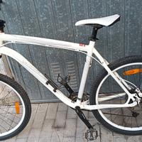 bici Mountain bike 