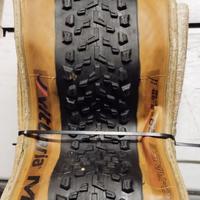 gomme/copertoni mtb