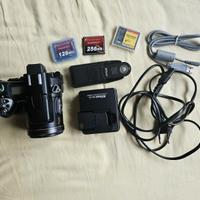 Coolpix 8800