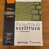palestra di scrittura