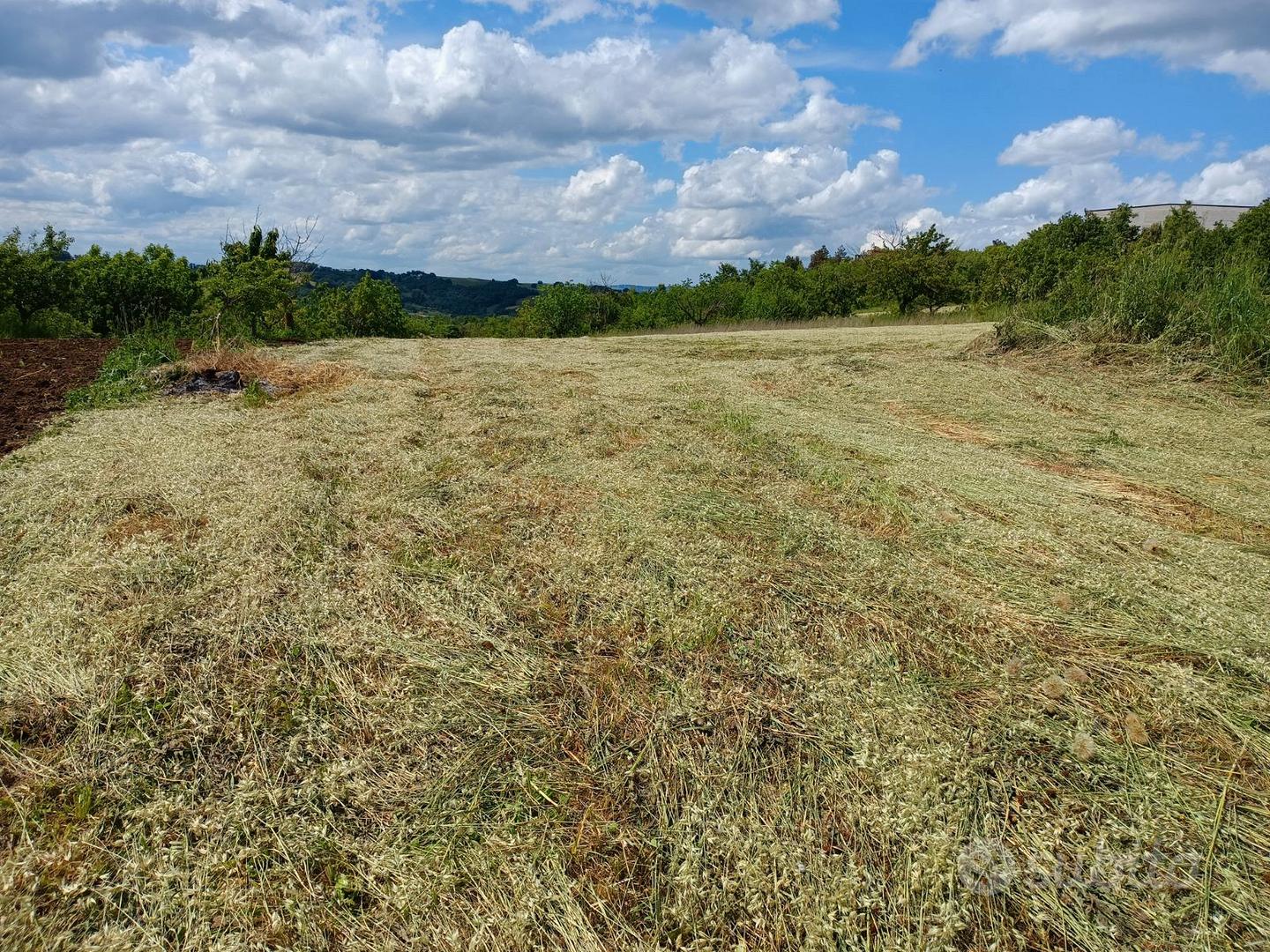 Riccia, Via Feudo – terreno B2 con frutteto - Altro