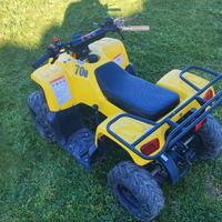2 mini quad