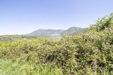 TER. AGRICOLO A MARCELLINA