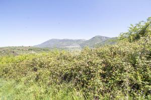 TER. AGRICOLO A MARCELLINA