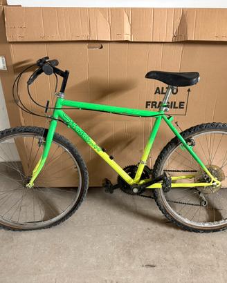 Bici 26