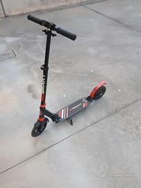 Monopattino elettrico