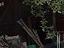 Immagine 9