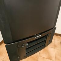 Televisore 32 pollici Loewe  Alimentatore guasto