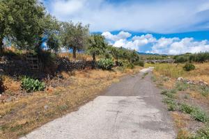 Terreno agricolo in ''CONTRADA LUPPINO''