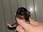 Immagine 1