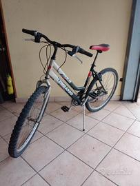 Mountain bike Lombardo 26"