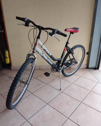 Mountain bike Lombardo 26"