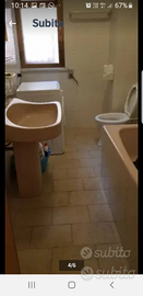 Margherita di Savoia