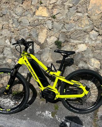 Bici elettrica bambino