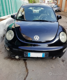New beetle maggiolone