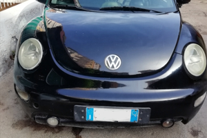 New beetle maggiolone