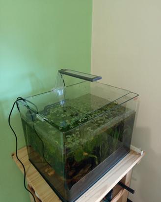 Acquario amtra