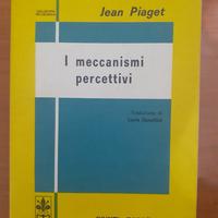I meccanismi percettivi di Piaget