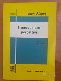 I meccanismi percettivi di Piaget