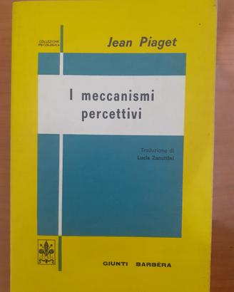 I meccanismi percettivi di Piaget