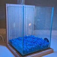 Acquario zolux 10 litri