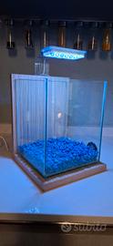 Acquario zolux 10 litri