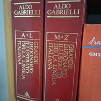 Grande Dizionario Illustrato Della Lingua Italiana