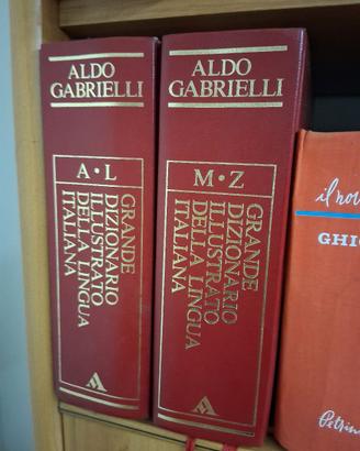 Grande Dizionario Illustrato Della Lingua Italiana