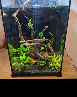 Acquario 28 litri Completo 