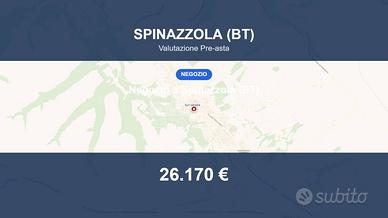 Immobile in asta di 103 m² a Spinazzola