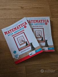 Matematica allo specchio 1