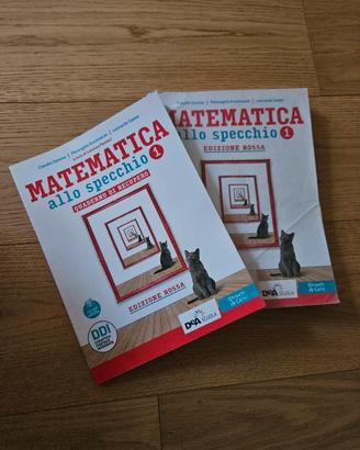 Matematica allo specchio 1