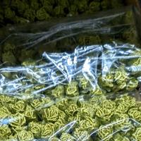 Mini Rose Fiori in Raso Glitterati