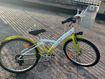 Bici Taglia Media 24”