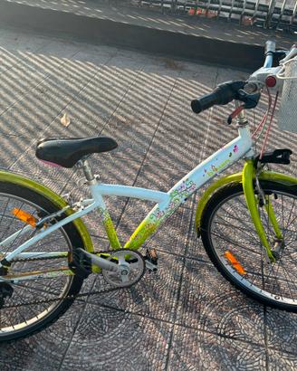 Bici Taglia Media 24”