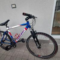 Mountain Bike Cougar Dual XL
