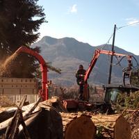 cippato di qualità per caldaie e giardini