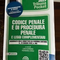 Codice Penale e Procedura Penale Minor