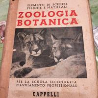 elementi di zoologia e botanica ed cappelli