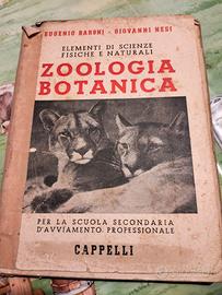 elementi di zoologia e botanica ed cappelli