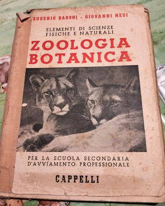 elementi di zoologia e botanica ed cappelli