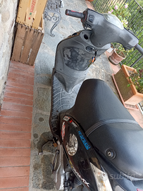 Piaggio zip